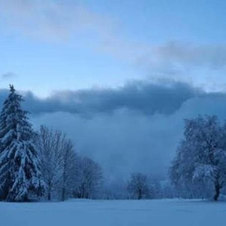 Gite L'Echapee Belle Dans Les Vosges Villa Aydoilles Exterior photo