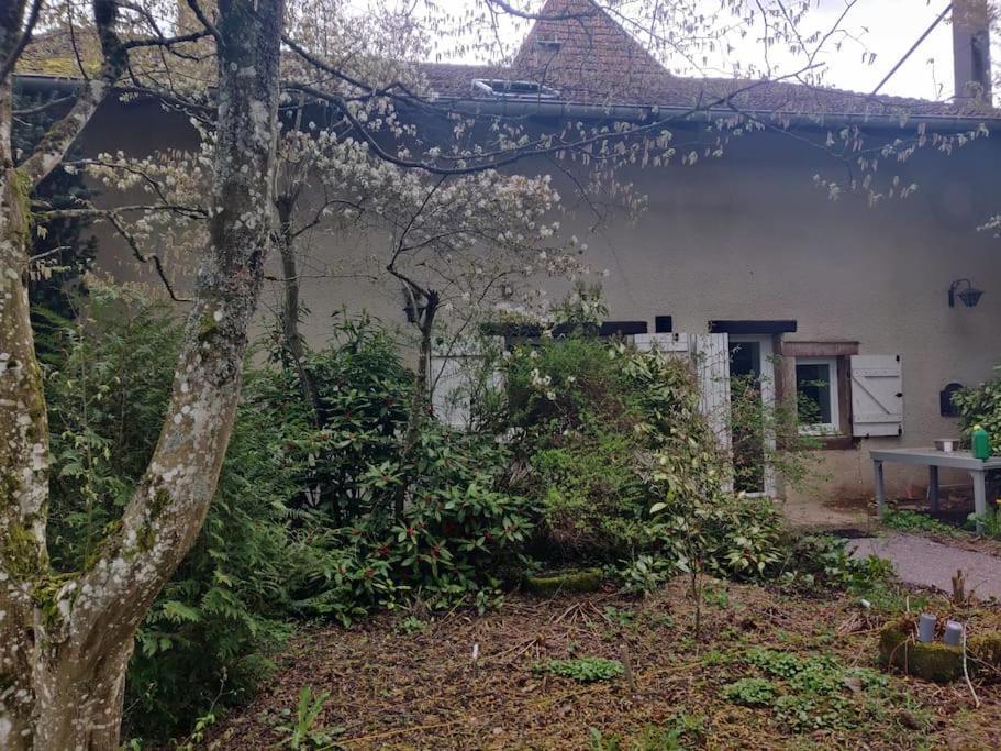 Gite L'Echapee Belle Dans Les Vosges Villa Aydoilles Exterior photo