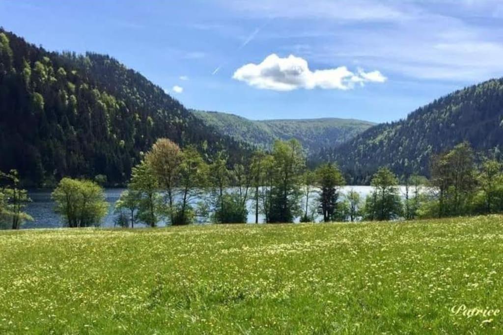 Gite L'Echapee Belle Dans Les Vosges Villa Aydoilles Exterior photo