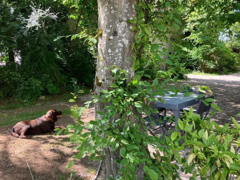 Gite L'Echapee Belle Dans Les Vosges Villa Aydoilles Exterior photo