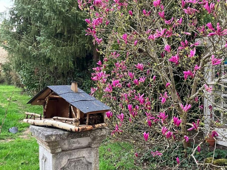 Gite L'Echapee Belle Dans Les Vosges Villa Aydoilles Exterior photo